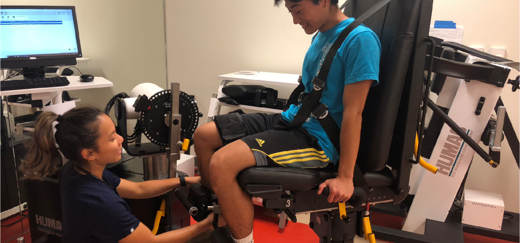 Muscle dynamometer