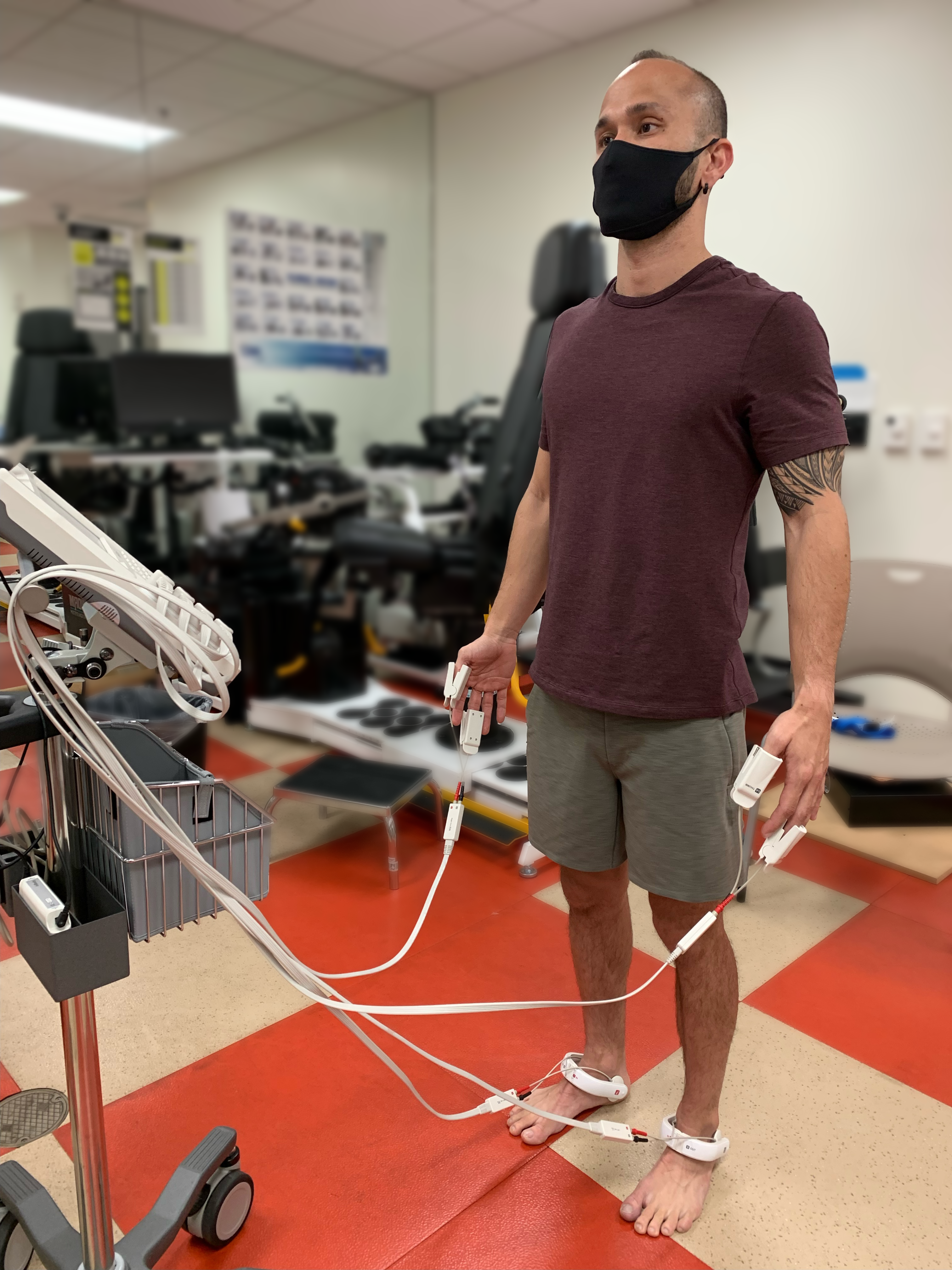Shape Up! Adults — InBody scan